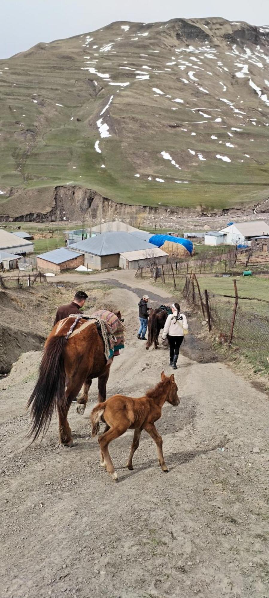 Xinaliq Elnur Guest House, New Hotel Exterior photo